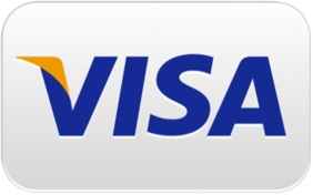 A visa logo is shown on top of a white background.